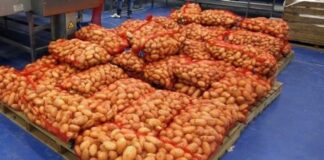 Pommes de terre: un stock stratégique de plus de 130.000 tonnes