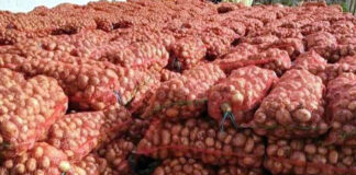 Agriculture : déstockage de 30.000 tonnes de pomme de terre destinées à la consommation