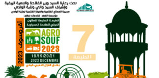 Agriculture – El-Oued: Plus de 90 exposants attendus au 7e Salon national « Agro Souf »