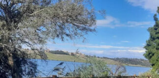 Alger: Lancement de la réalisation du premier projet de parcs agricoles