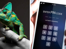 Chameleon, un malware sur Android qui vole votre code PIN en désactivant le déverrouillage par empreinte digitale
