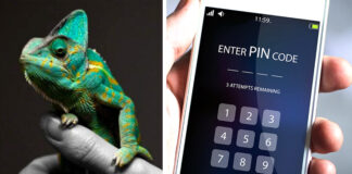 Chameleon, un malware sur Android qui vole votre code PIN en désactivant le déverrouillage par empreinte digitale