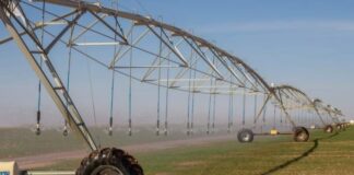 Tébessa: Les stations d’épuration biologique des eaux usées d’Oum Ali et de Safsaf El Ouesra, ressources supplémentaires pour l’irrigation agricole