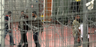 Palestine: 7.800 Palestiniens détenus dans les prisons sionistes