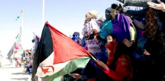 Sahara occidental: Une année 2023 sous le signe de l’intensification du combat pour l’indépendance