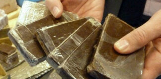 Mostaganem: Saisie de près de 7 kg de cannabis