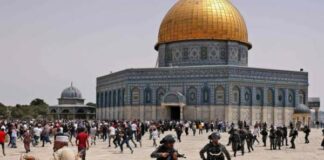 El-Qods occupée: La mosquée Al-Aqsa de nouveau envahie par des colons sionistes