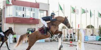 Sport: Ouverture des journées nationales équestres à Oran