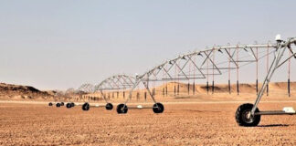 L’investissement agricole dans le Sud: Une option stratégique de l’Etat