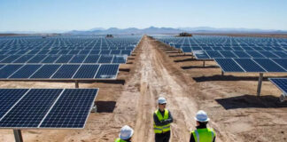 « Solar1000 MW »: Sonelgaz procède à l’ ouverture des plis relatifs aux offres financières du projet
