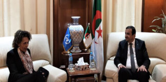 Energie: Arkab reçoit la Conseillère spéciale du SG de l’ONU pour l’Afrique