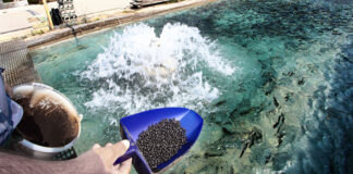 Sétif: Session de formation sur l’alimentation des poissons d’élevage et la valorisation des matières premières locales