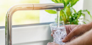 Relizane: Augmentation de la quantité de lait pasteurisé à 180 000 litres par jour à partir de la semaine prochaine