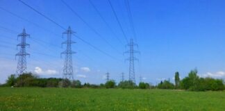 Agriculture – Bouira: Raccordement de 313 exploitations agricoles en électricité à fin décembre 2023