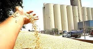 Ouargla: Réalisation prévue de neuf centres locaux de stockage des céréales