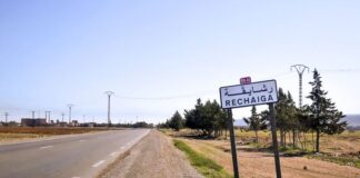 Tiaret: Un pôle agricole prometteur à Rechaiga