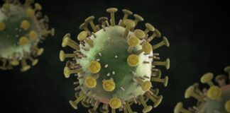 Santé-VIH: Un traitement très précoce, possible clé d’une rémission durable