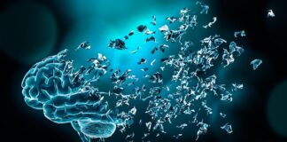 La maladie d’Alzheimer pourrait se transmettre, selon une étude