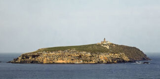 L’île de Rachgoun: Le classement en réserve naturelle, une vision économique et environnementale