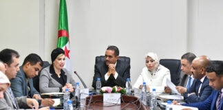 Industrie cinématographique: Soraya Mouloudji, présente le projet de loi sur l’industrie cinématographique