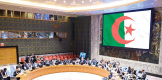 Conseil de sécurité de l’ONU: Le rôle de l’Algérie dans l’unification de la voix de l’Afrique mis en exergue