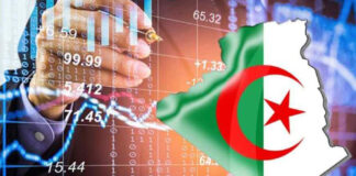Quelles perspectives pour la dynamisation des segments hors hydrocarbures en Algérie ?