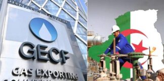 GECF: Tebboune plaide pour un nouveau mécanisme afin d’élever le niveau de coordination lors du prochain sommet