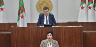 Culture: Le projet de loi sur l’industrie cinématographique cadre avec la politique générale de l’Algérie