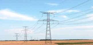 Touggourt: 15 exploitations agricoles raccordées au réseau d’électricité à El Hadjira