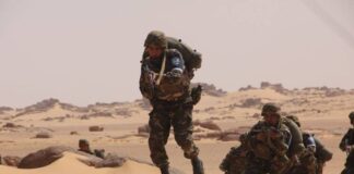 Un terroriste capturé par un détachement de l’ANP à Tamanrasset