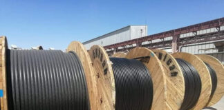 ENICAB Biskra: Production prévisionnelle de plus de 10.000 tonnes en 2024