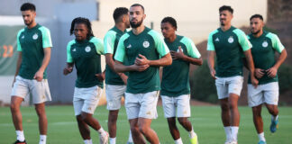 Equipe nationale: Quels joueurs pour le nouveau coach ?