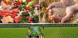 Sous l’impulsion du chef de l’Etat: Une nouvelle stratégie pour assurer la sécurité alimentaire