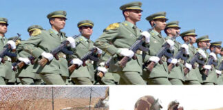 Avec de nouveaux résultats probants sur le terrain opérationnel: Les forces de l’ANP toujours sur le qui-vive