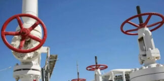 Stratégie gazière mondiale: L’Algérie acteur stratégique de l‘approvisionnement en gaz naturel par canalisation du marché européen et en GNL de l’Afrique