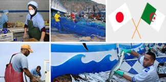 Algérie-Japon: Lancement de la 2e phase du projet de la cogestion de la pêche artisanale