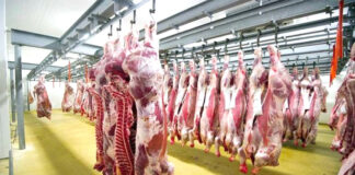 Ramadan 2024: L’Algérie importera 100 000 tonnes de viande rouge
