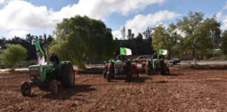 Bordj Bou Arreridj: Près de 70 000 hectares emblavés
