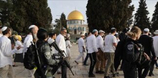 El-Qods occupée: des dizaines de colons prennent d’assaut la mosquée d’Al-Aqsa