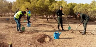 Barrage vert à M’sila: Lancement d’une campagne de volontariat pour la plantation de 1.000 arbres