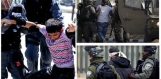 Cisjordanie occupée: Plus de 7330 Palestiniens arrêtés par l’occupant sioniste