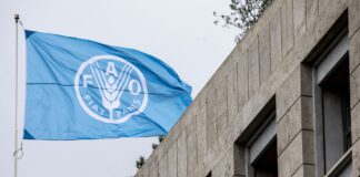 FAO: Recul des prix mondiaux des denrées alimentaires en février