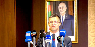 AAPI: «113 projets étrangers enregistrés», révèle Rekkache