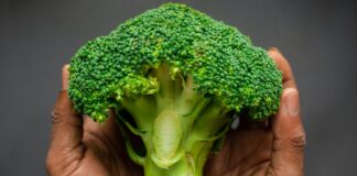 La science explique pourquoi le brocoli est incroyable