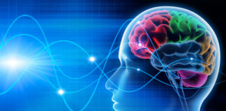 Le Covid long ou une forme sévère pourrait faire perdre 6 points de QI