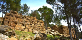 Oum El Bouaghi: La nécropole mégalithique de Sigus, témoin immuable d’une présence humaine remontant à l’ère protohistorique