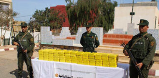 Frontières avec le Maroc: Mise en échec de tentatives d’introduction de 546 kg de kif traité