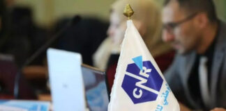 CNR: Plusieurs avantages s’offrent à la communauté nationale à l’étranger
