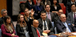 Adhésion de la Palestine à l’ONU: La Syrie condamne le veto américain