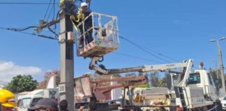 Oran: Reprise du service du tramway entre Es-Senia et les Palmiers